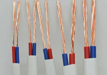 ZC-BVVB（2類(lèi) ）型號(hào)：2芯（0.5mm²²～16mm²²）