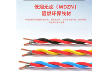 WDZN-RYJS 型號(hào)：(2芯) 0.75mm²²～4mm²²